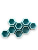 Hive Caps