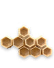 Hive Caps